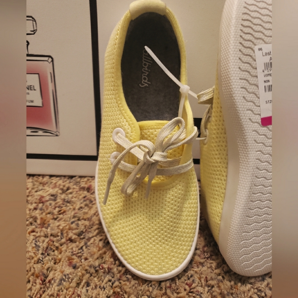 Allbirds sneaker